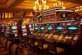Aplikasi resmi tortogel di layar ponsel
